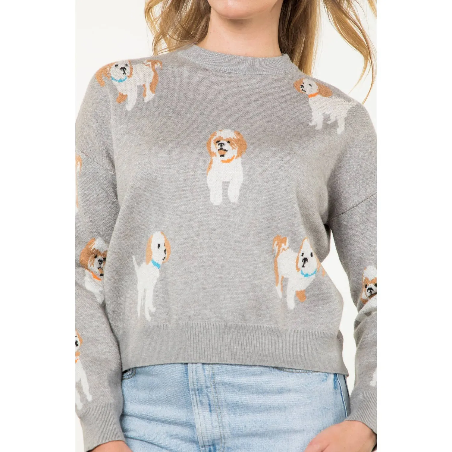 Puppy Sweater